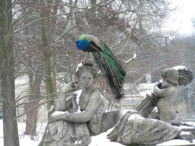 Lazienki Park, Warsaw