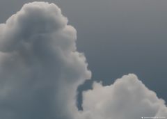 Lazing 2 (Pareidolic Sky 4 Detail)