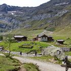 Lazinser Alm - Hinteres Passeiertal - Südtirol