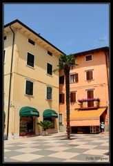 Lazise