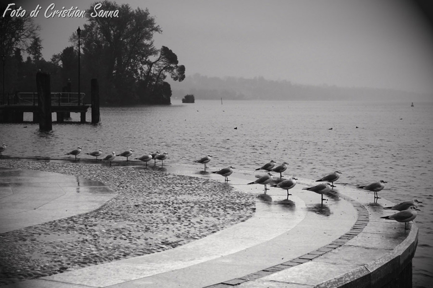 lazise del garda.