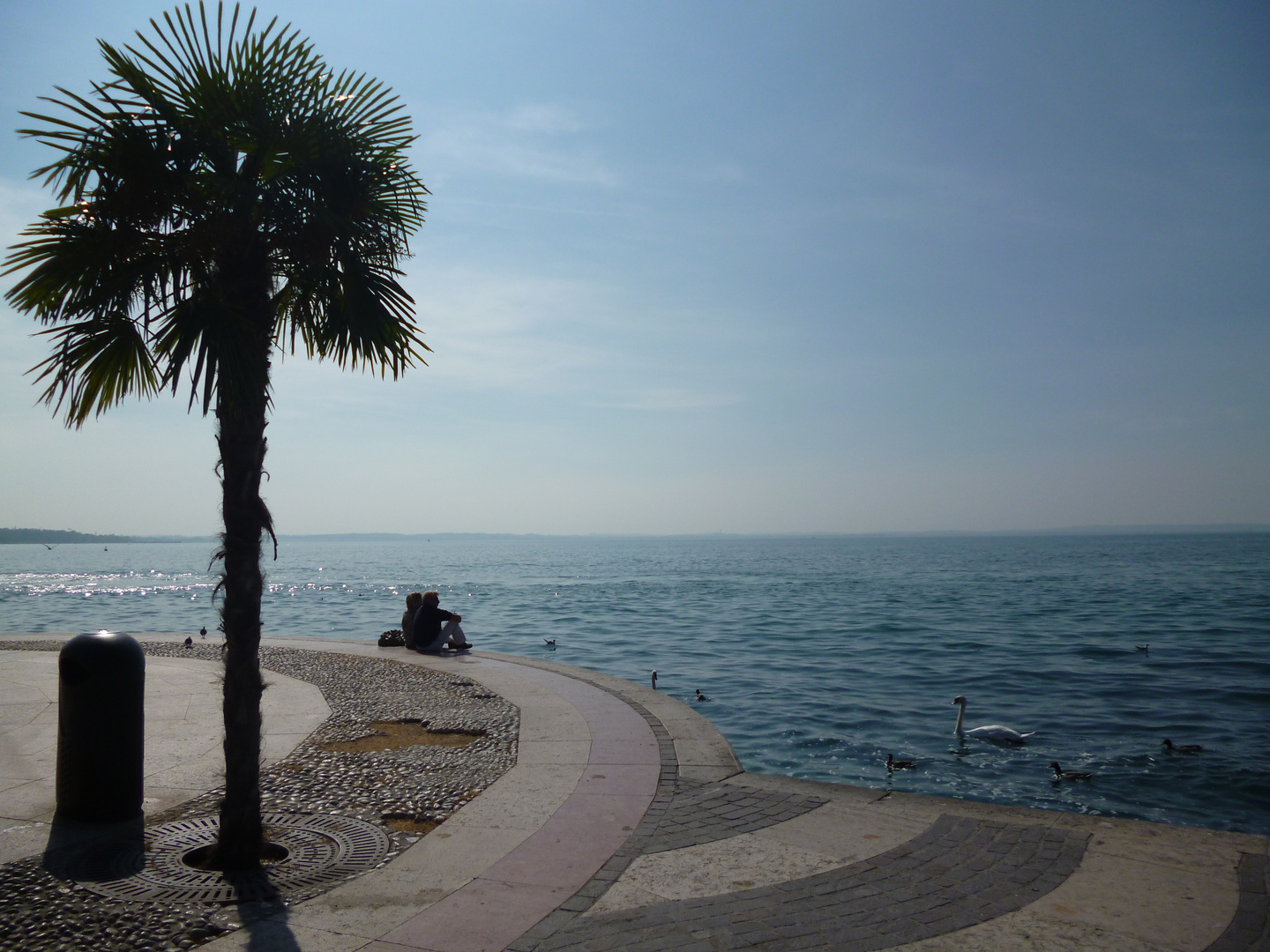 Lazise