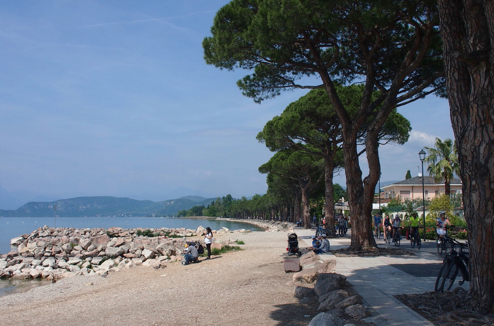 Lazise - Pinienpromenade