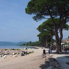 Lazise - Pinienpromenade