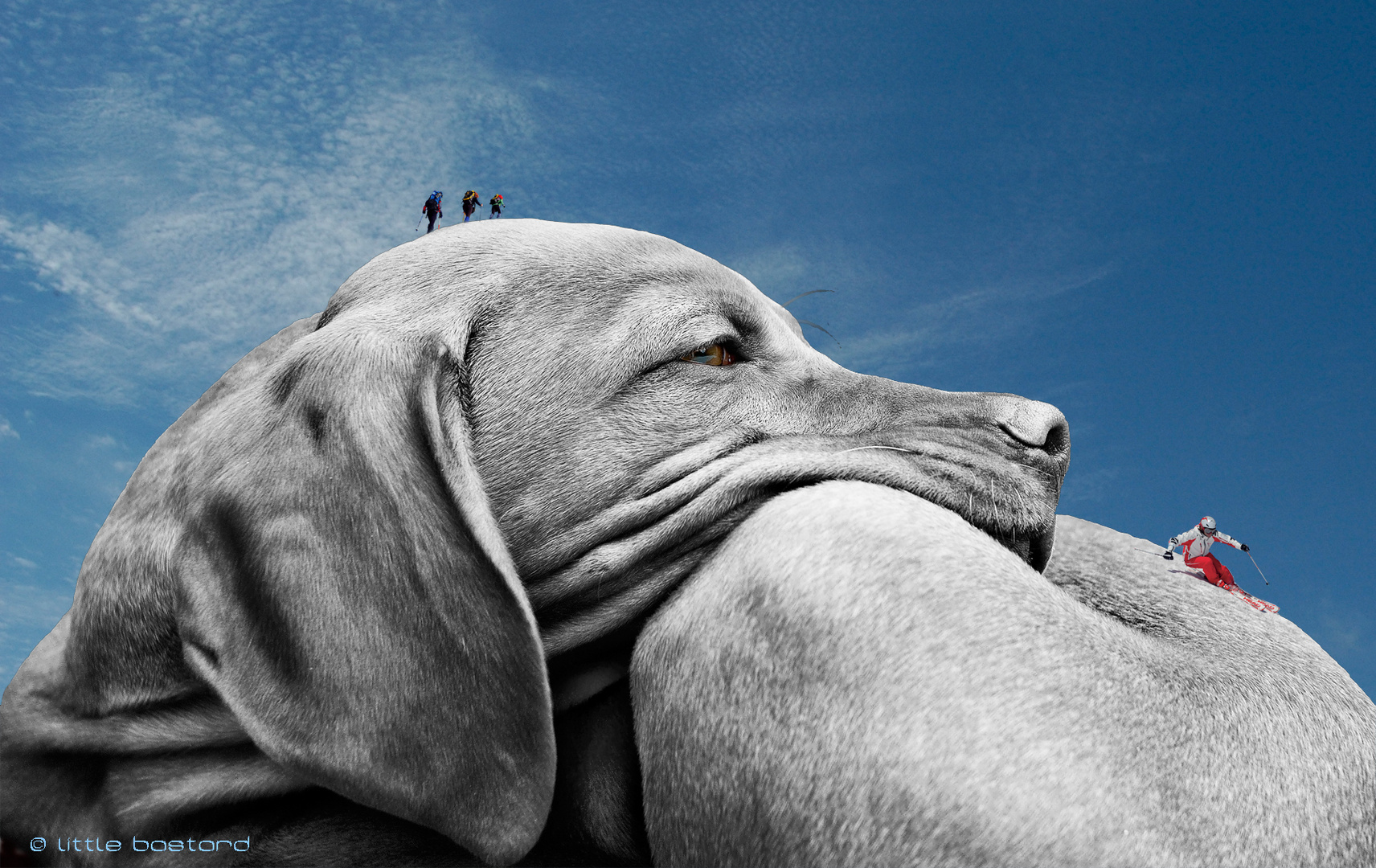 ...lazy afternoon !