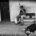 Lazy Afternoon (Laura, Qld)