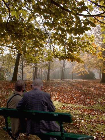 lazy autumn sunday afternoon