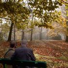 lazy autumn sunday afternoon