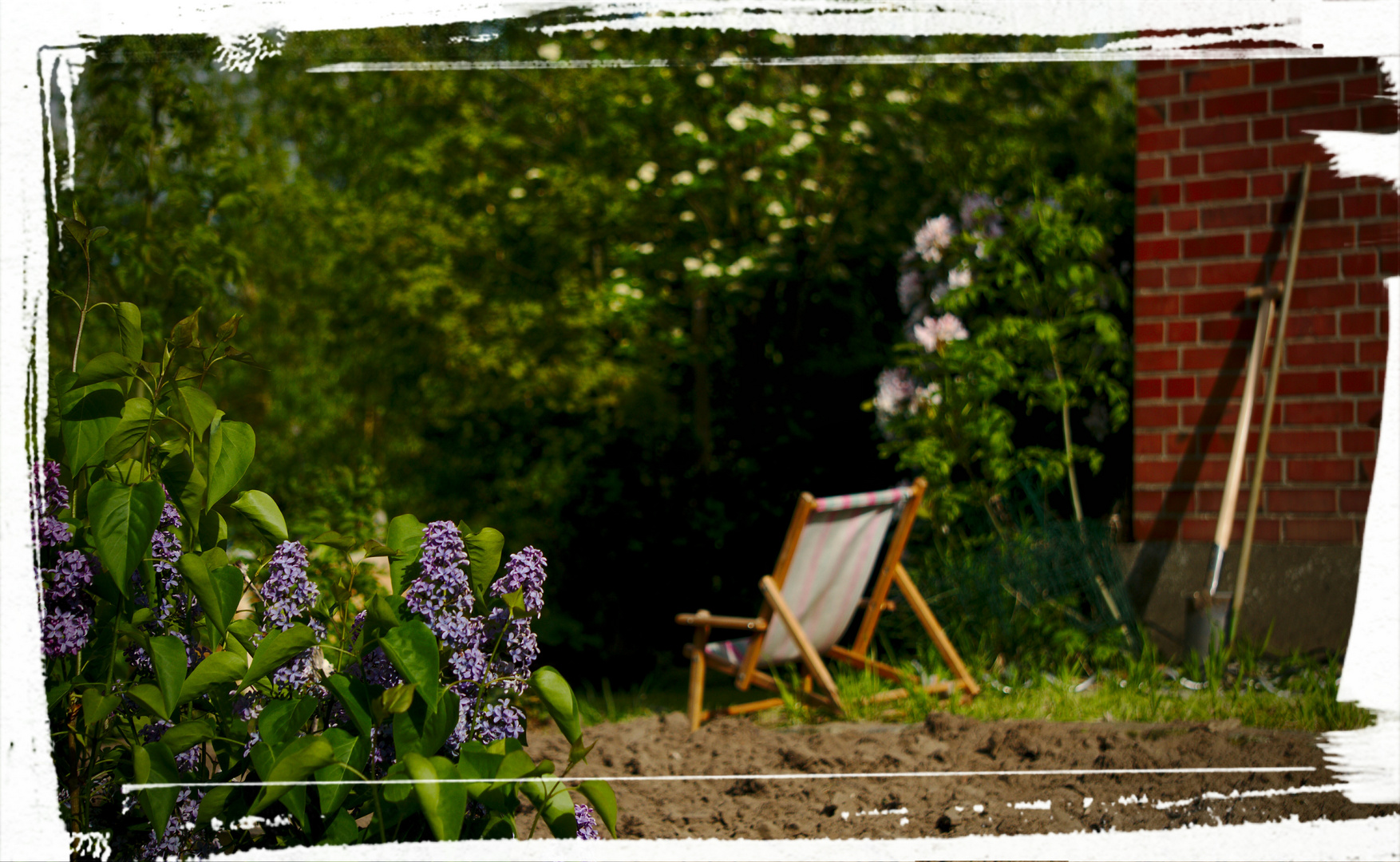 Lazy Garden