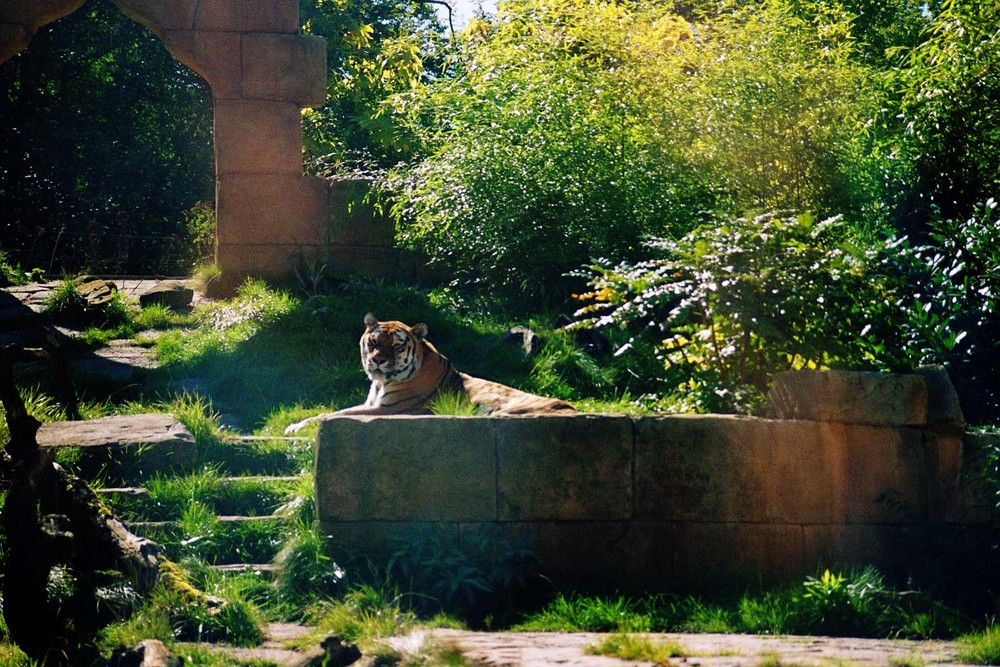 Lazy in the Sun...