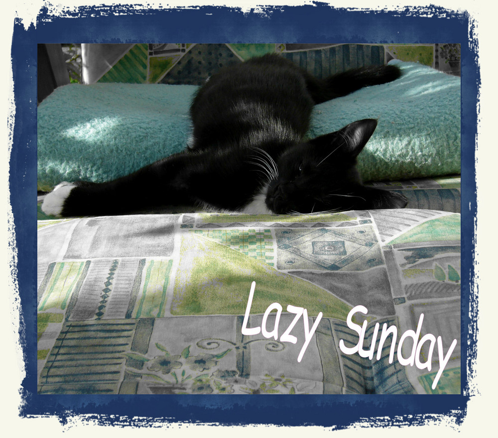 Lazy Sunday