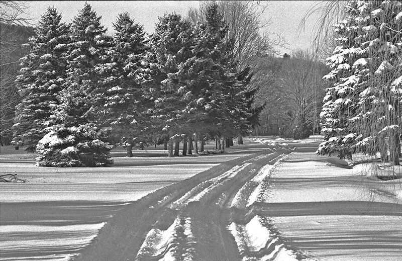 Lazybrook in Winter