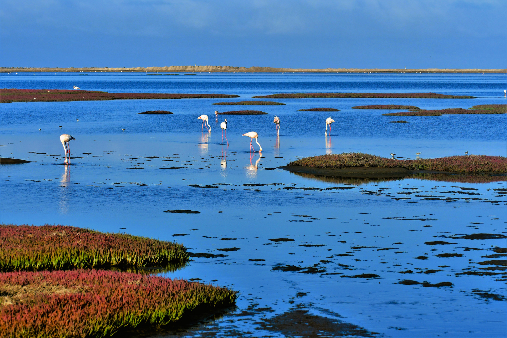 lDie blaue Lagune Namibias