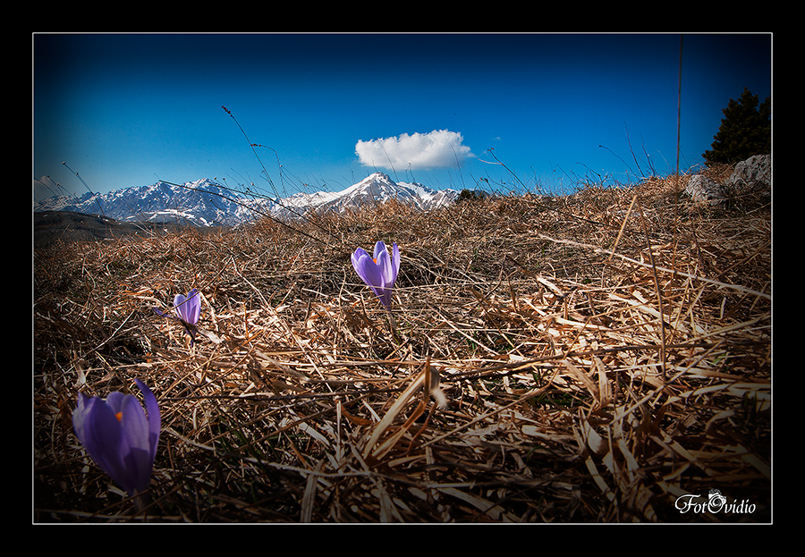 Le 3 ViOlEtTe