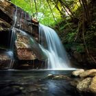 Le acque del torrente Resco