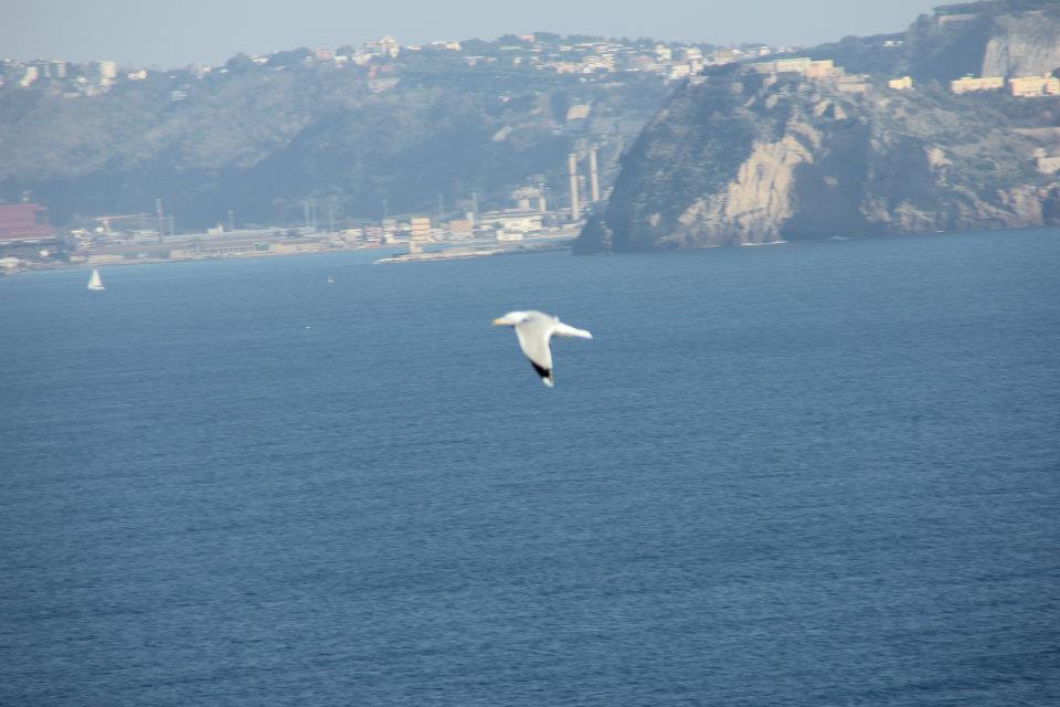 le ali della libertà