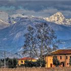 le Apuane viste da Pisa