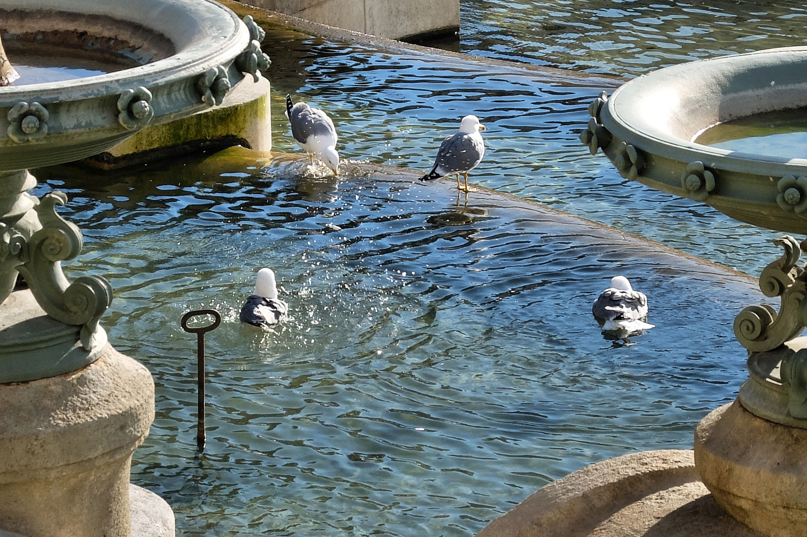 Le bain