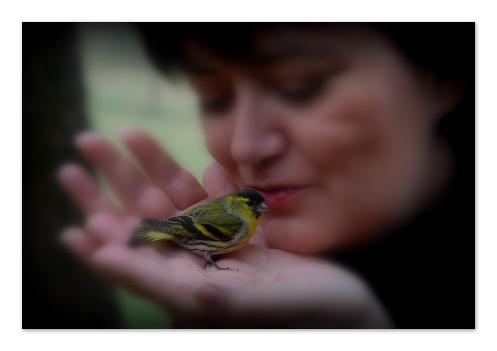 Le baiser