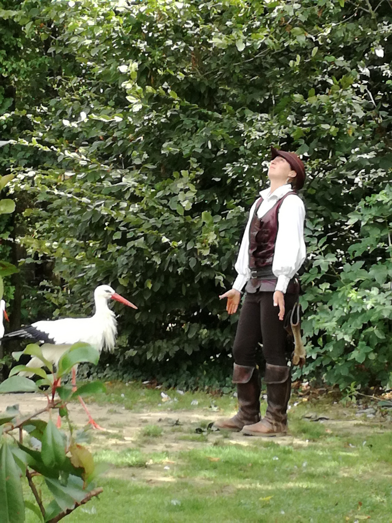 Le Bal des oiseaux fantômes ... Puy du Fou