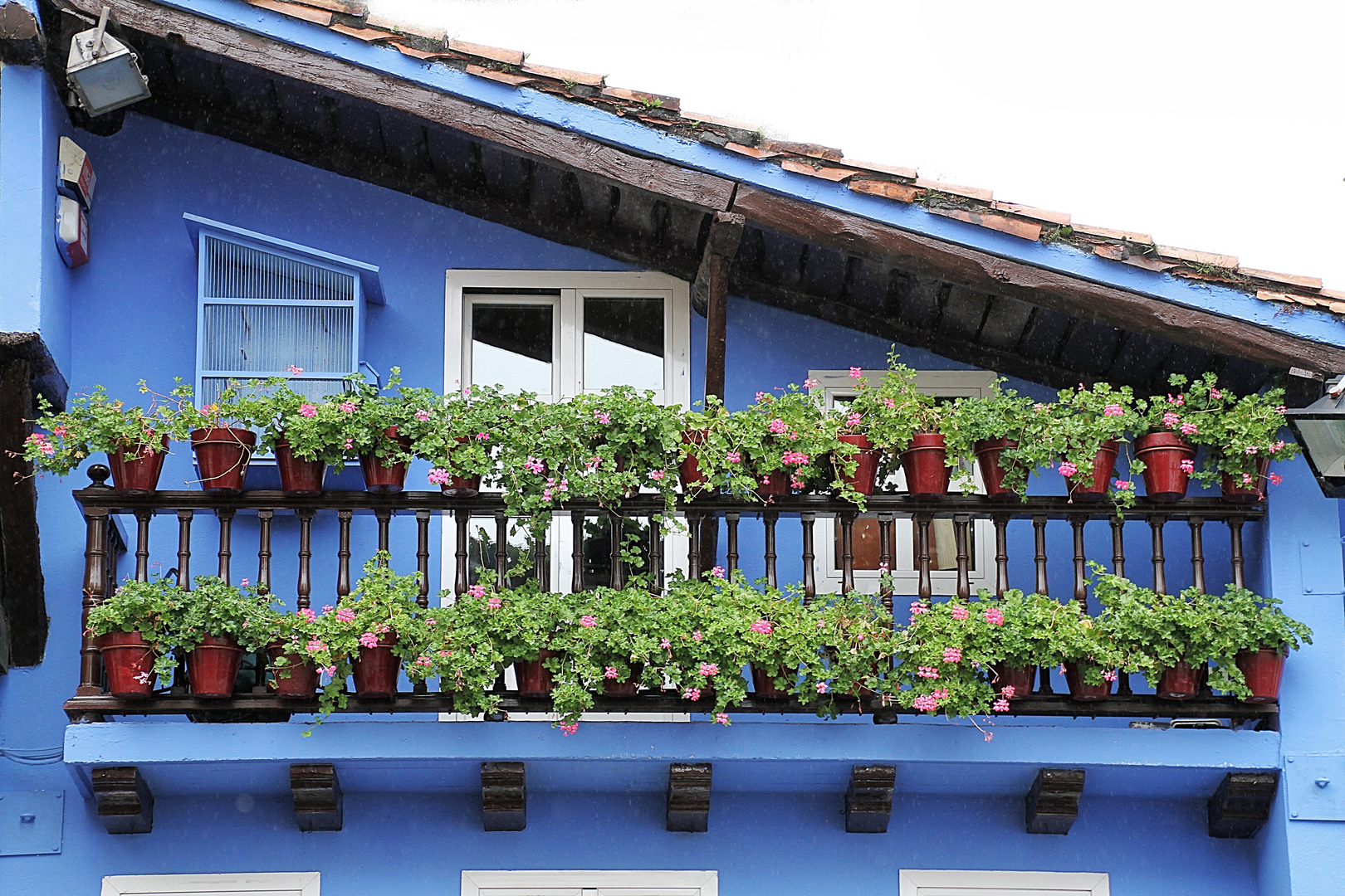 Le Balcon Fleuri Photo Et Image Animations Photographiques Un Jour Une Couleur Special Images Fotocommunity Le Balcon Fleuri Photo Et Image Animations Photographiques Un Jour Une Couleur Special Images Fotocommunity