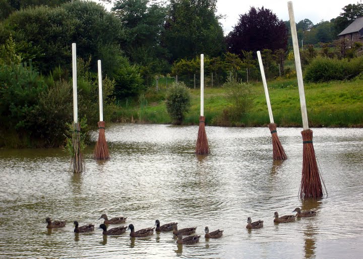 Le ballet des canards