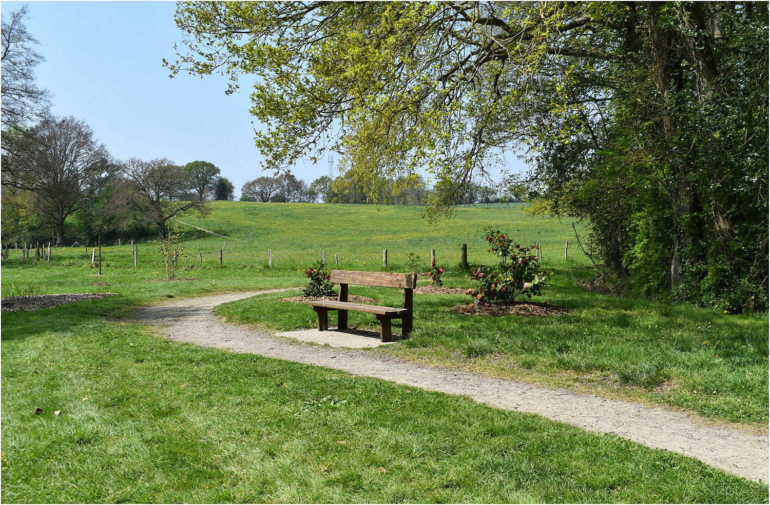 le banc