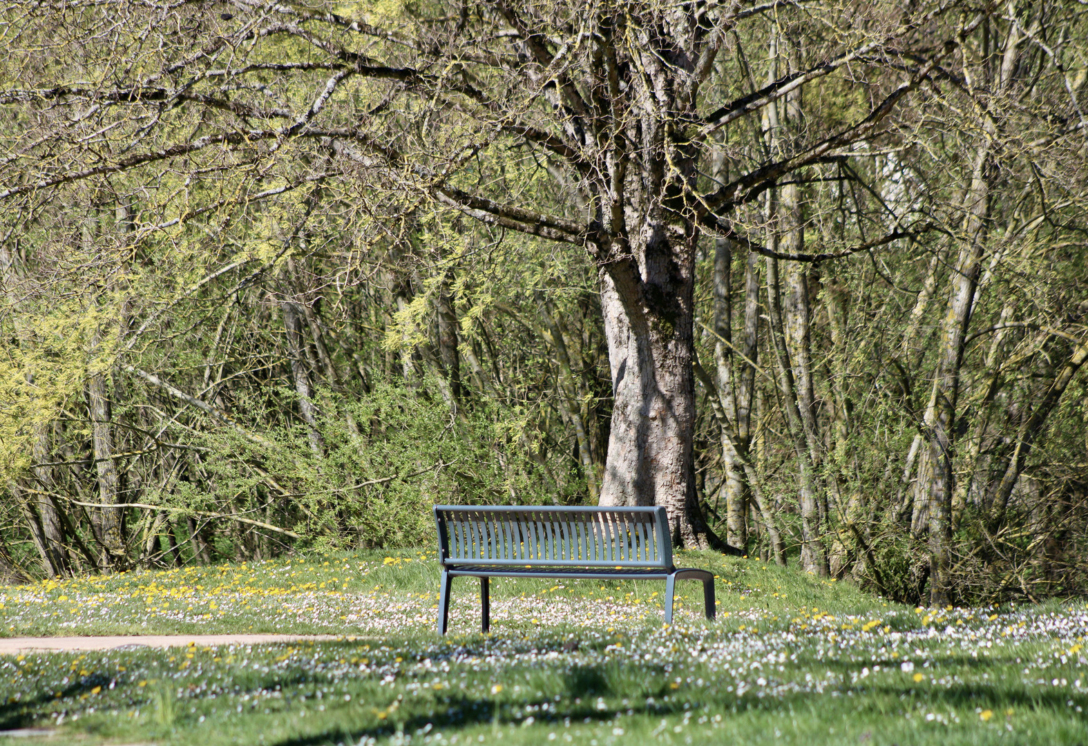 ...le banc -1 !!!...