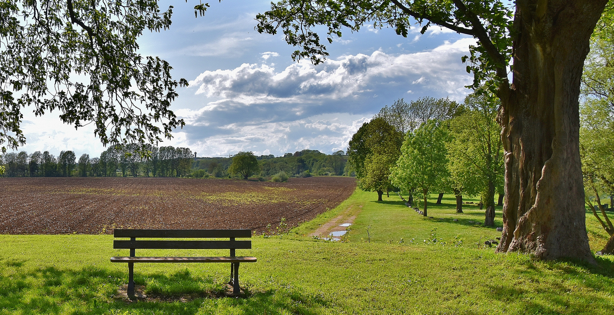 Le banc......