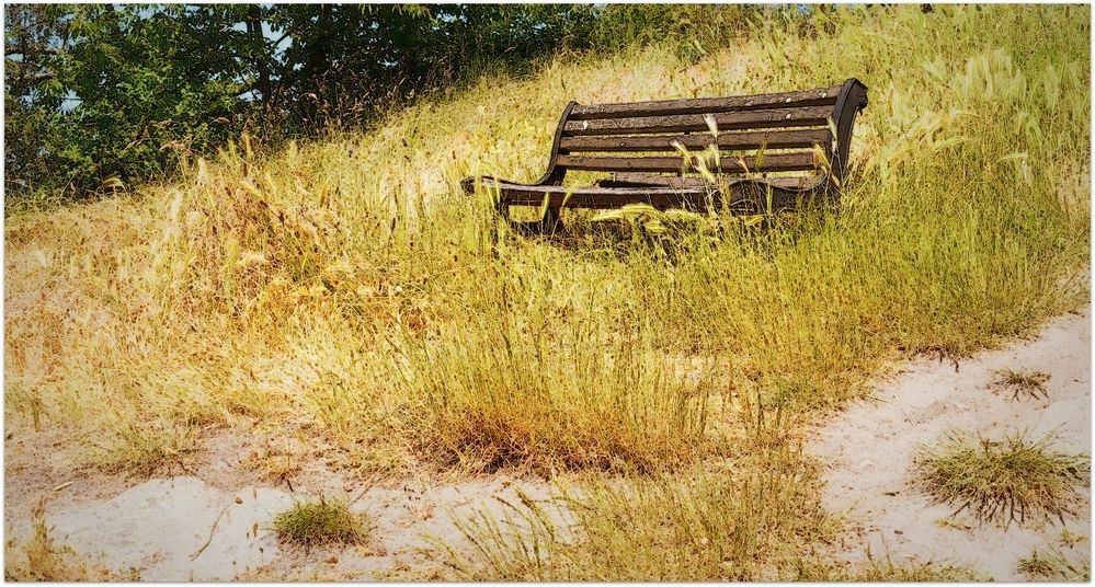 le banc