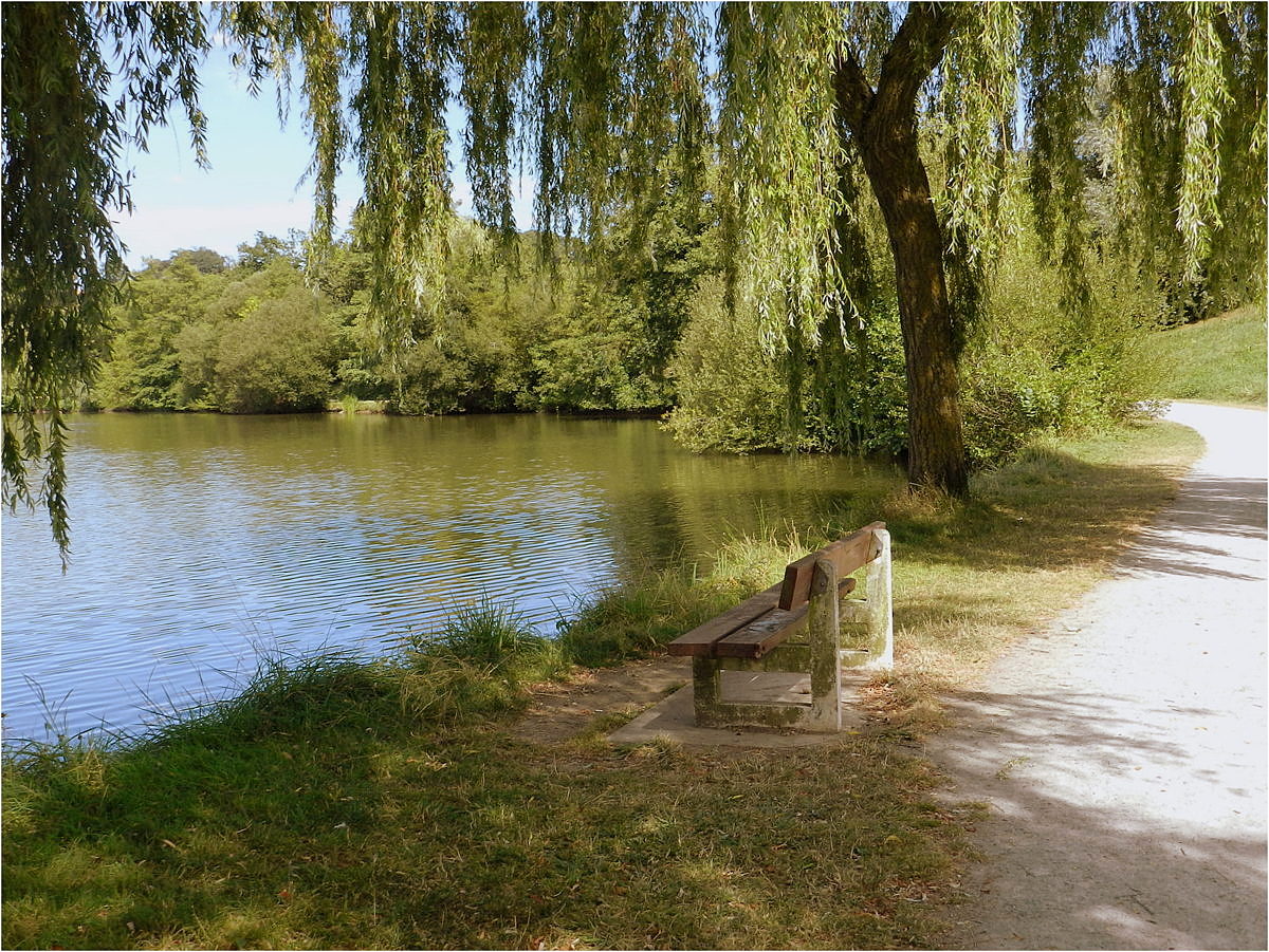 le banc