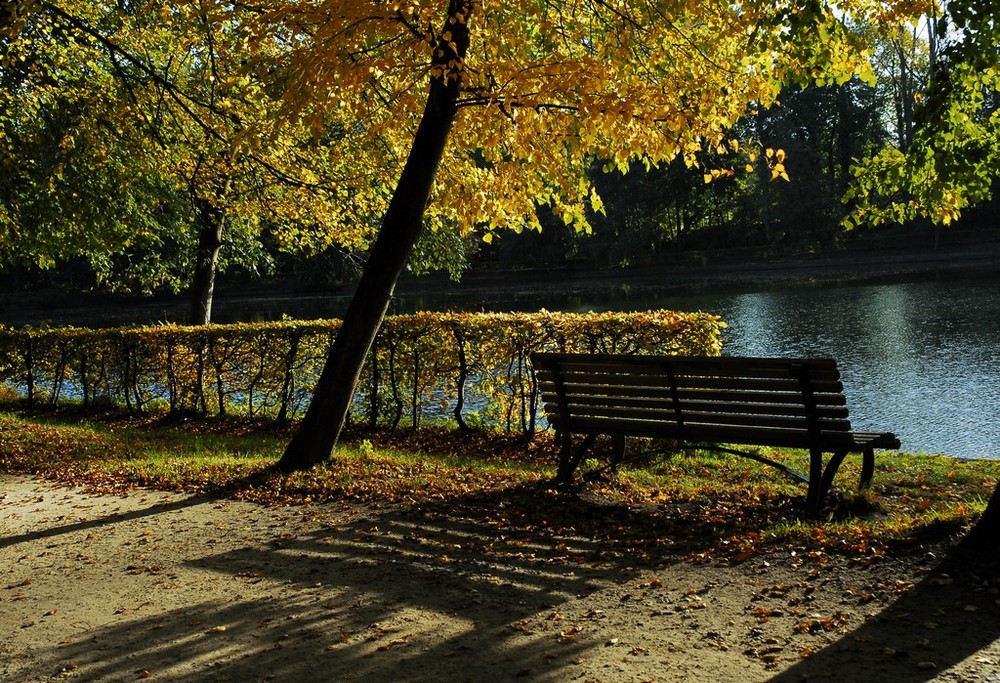 Le banc au bord de l'eau.