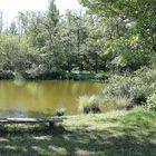 le banc au bord du lac !