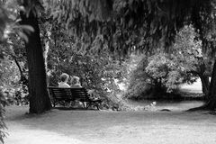 le banc aux dames