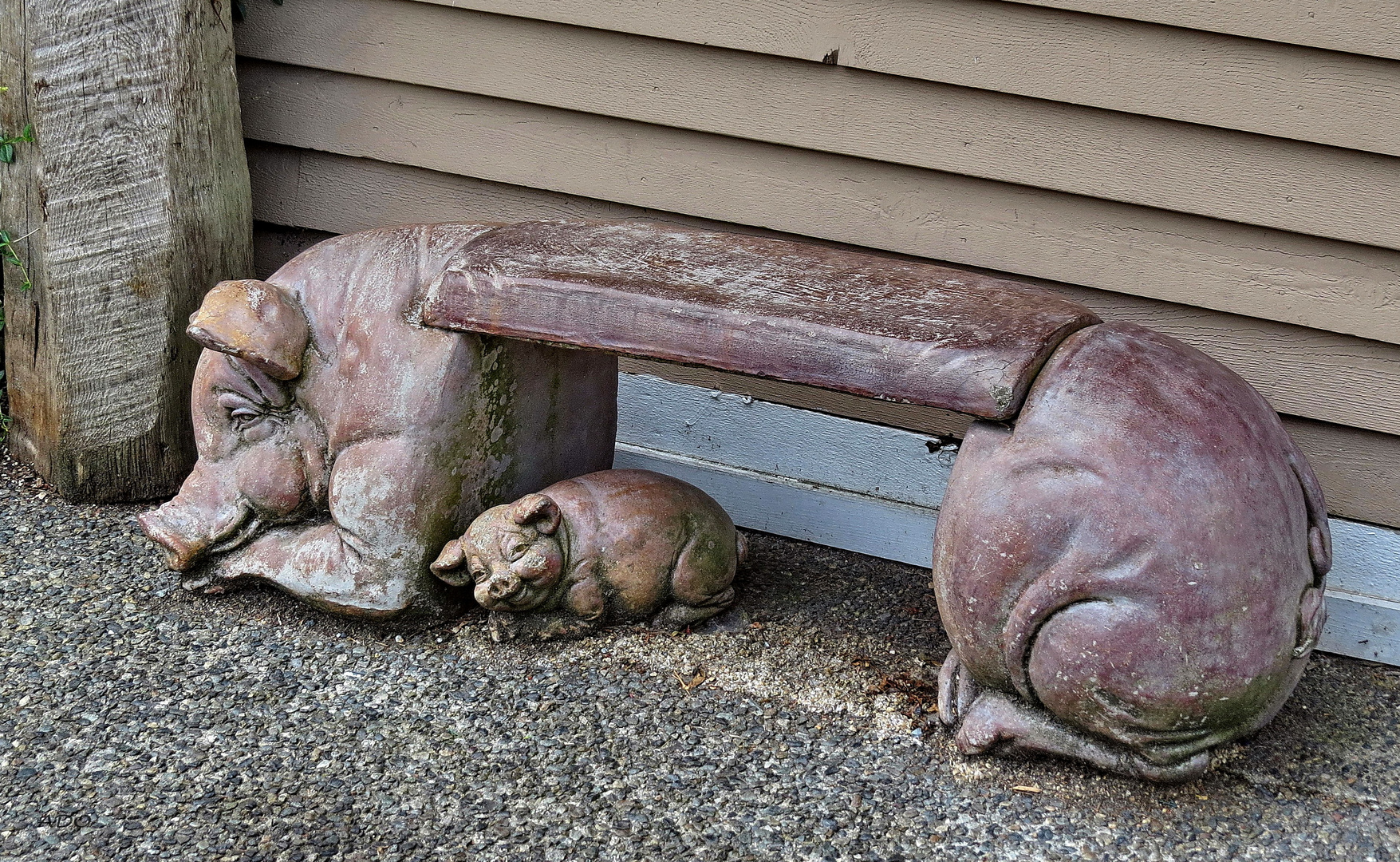 le banc chanceux 