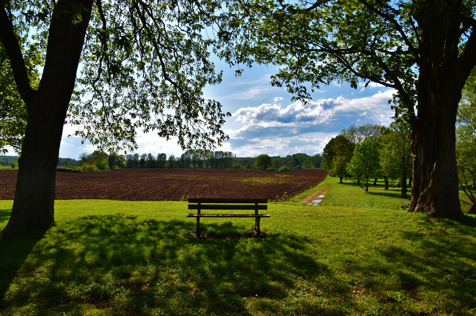 Le banc dans la nature.