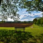 Le banc dans la nature.