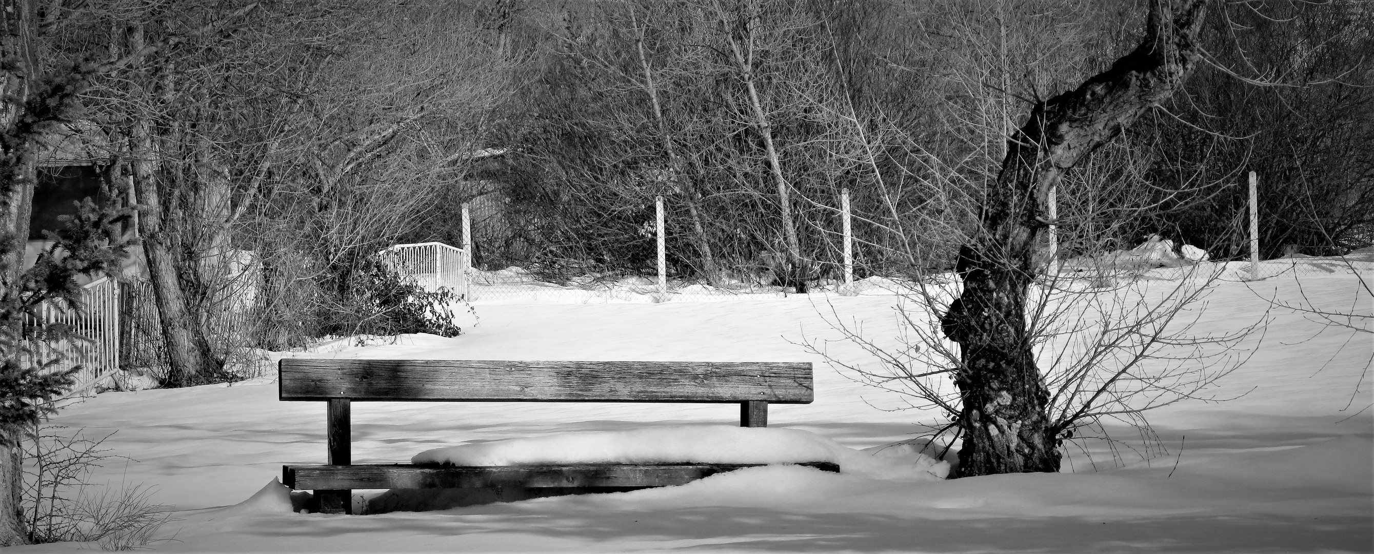 LE BANC DANS LA NEIGE