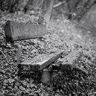 Le banc dans le bois