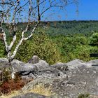 LE BANC D'APREMONT