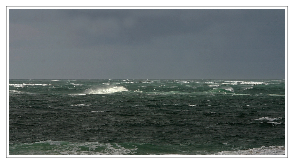 " Le banc d'Arguin "