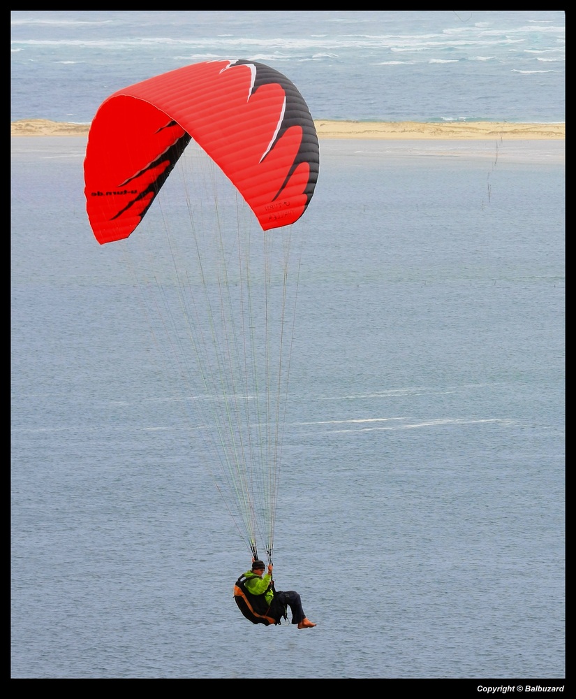 " Le Banc d'Arguin en parapente "