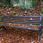 Le banc délaissé