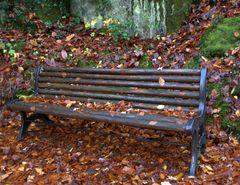 Le banc délaissé