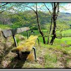 LE BANC DES AMOURS PASSEES .