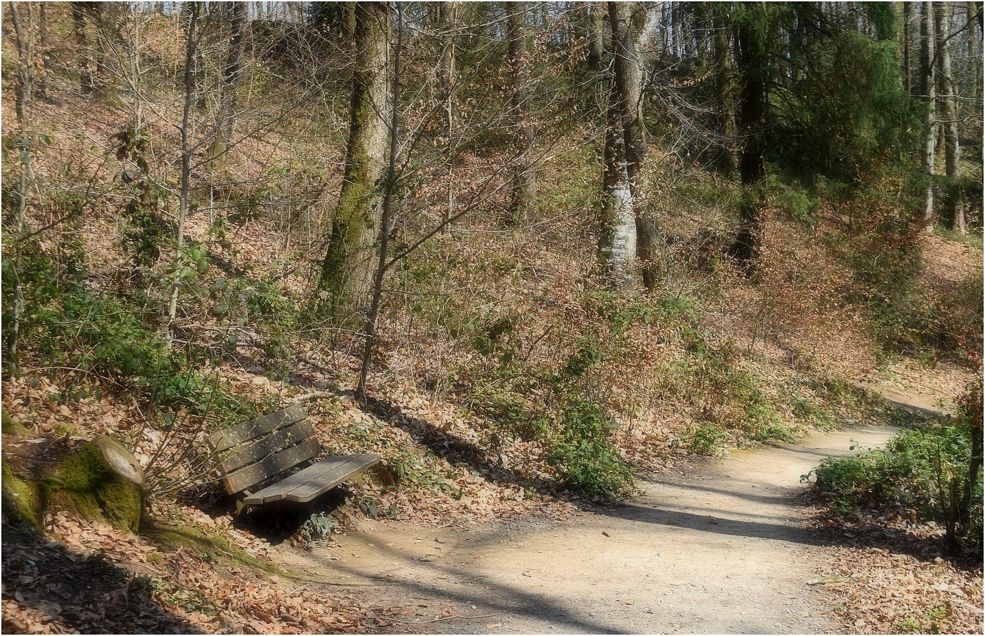 le banc