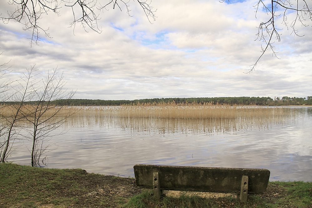 le banc du lac !