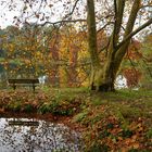 Le banc était vide ......