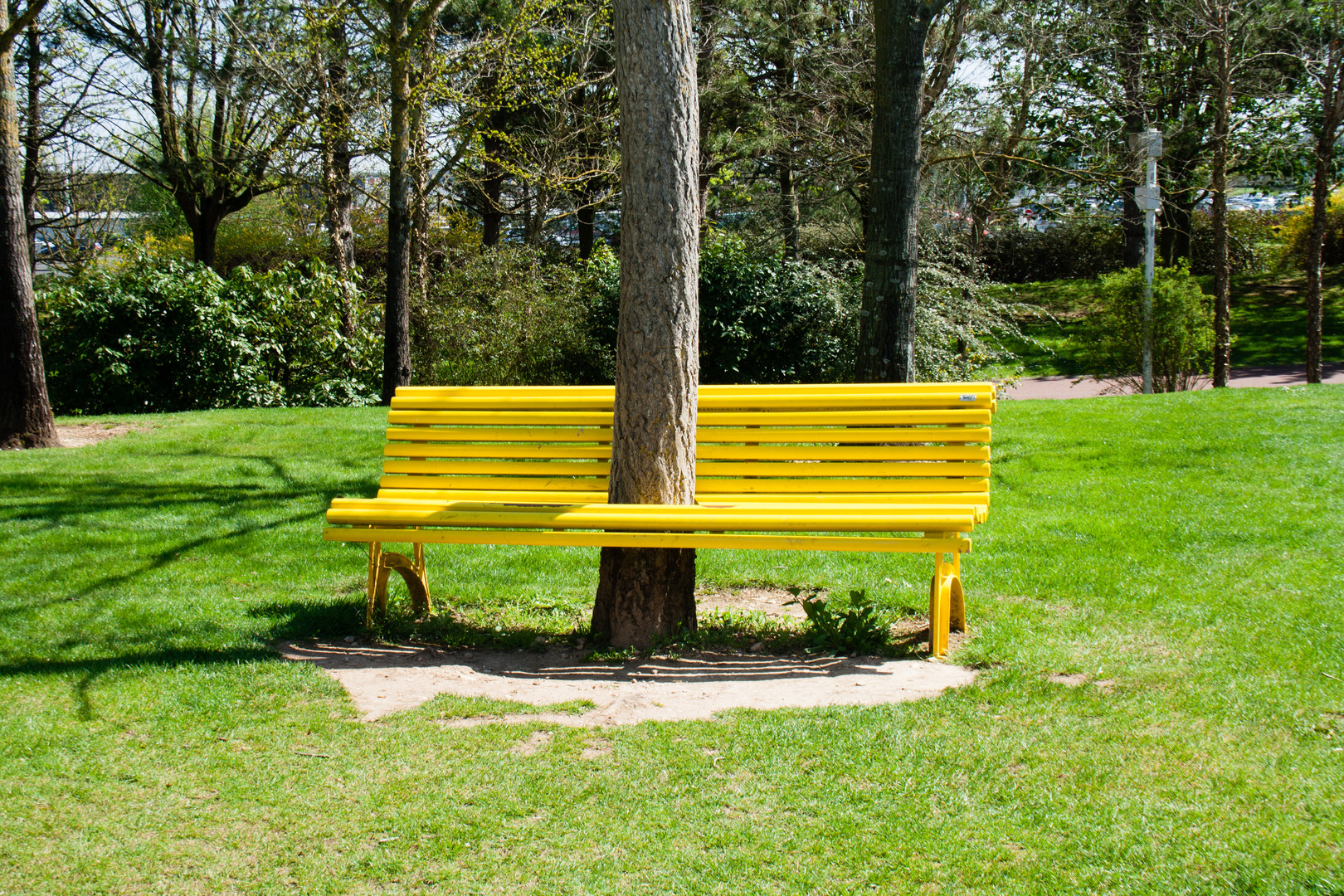 Le banc jaune