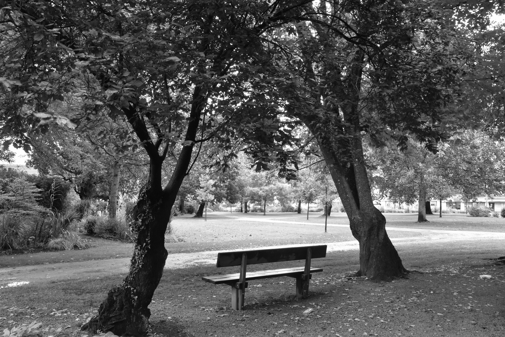 Le banc vide